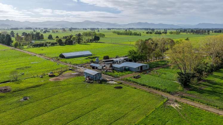 118 + 119 Wharepoa Road Netherton_10