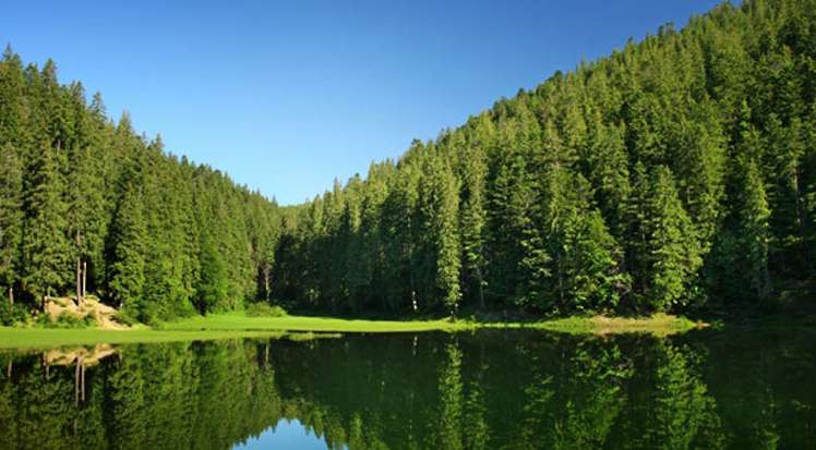 1068 Otaki Gorge Road Otaki_4