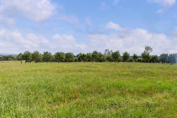 51C Klipsch Road Glenbrook_21