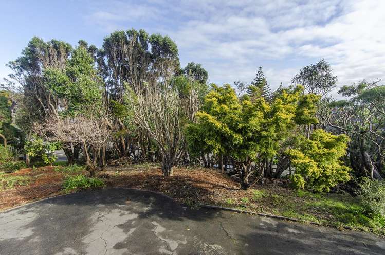 Lot 2-126 Rosetta Road_5