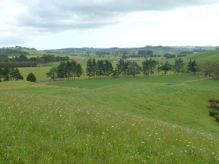 33 Larmer Road Kaitaia_7