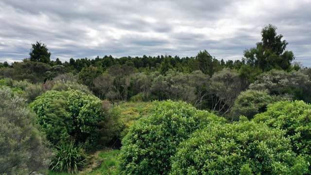 Lot 1 Munro Place Kumara Junction_3