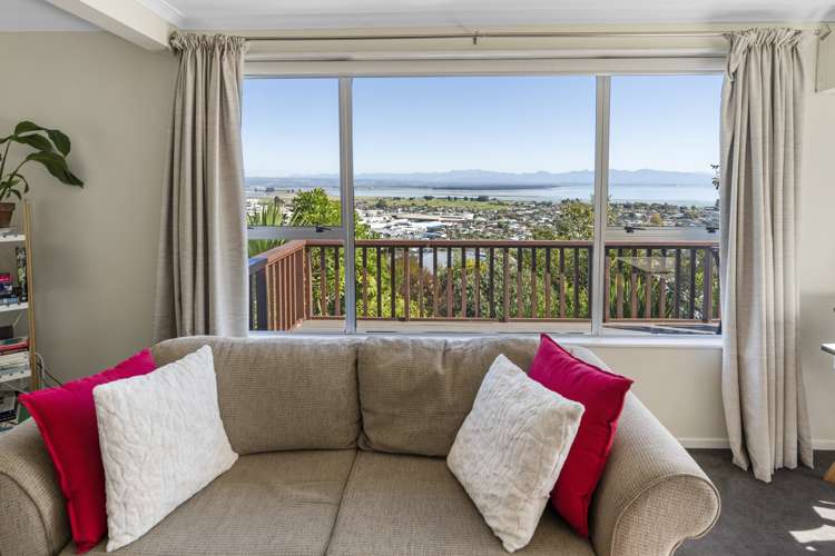 3/27 Chamberlain Street Tahunanui_6