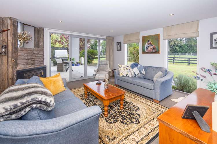 35 Taplin Road Matangi_10