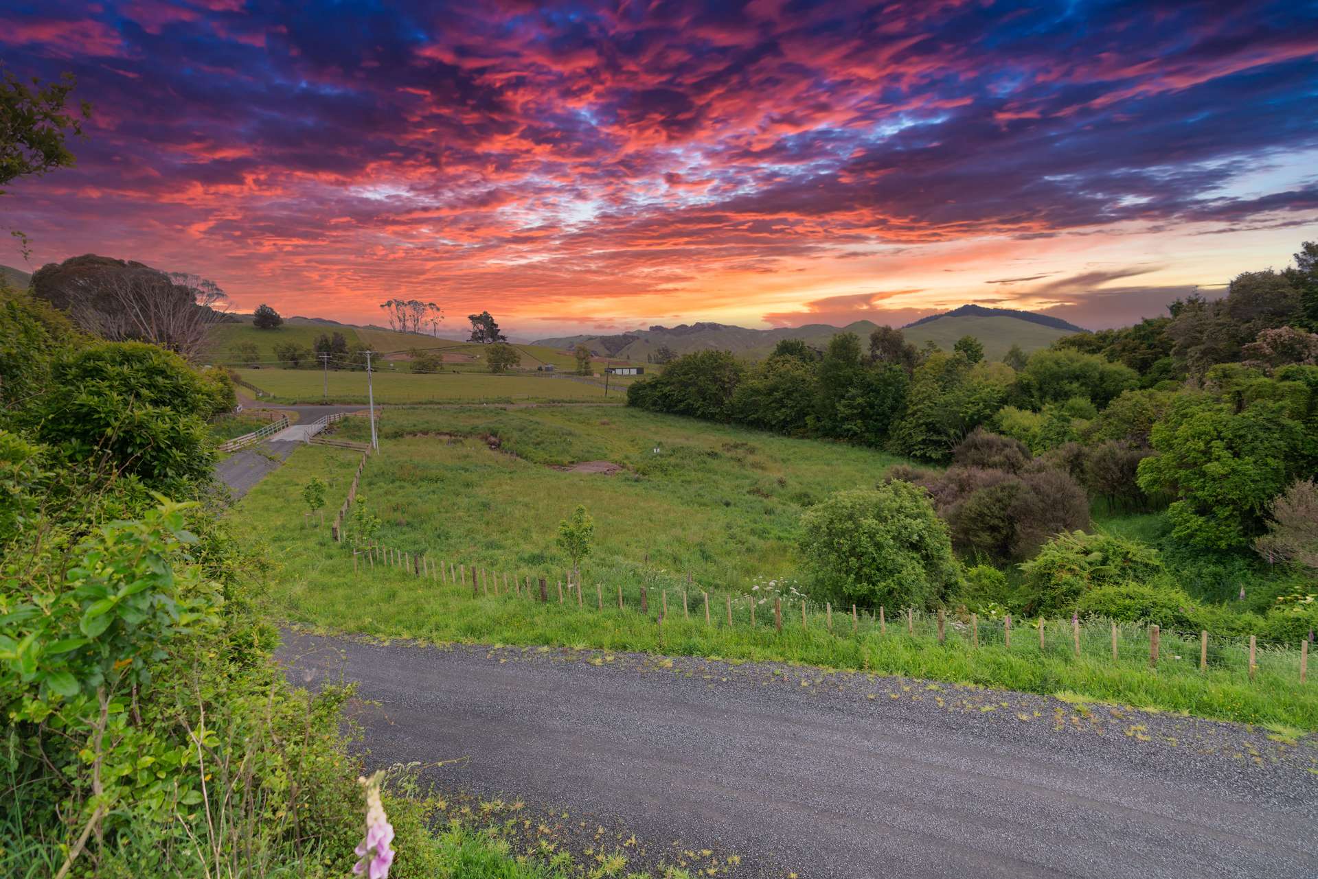 13 Robertson Close Manakau_0