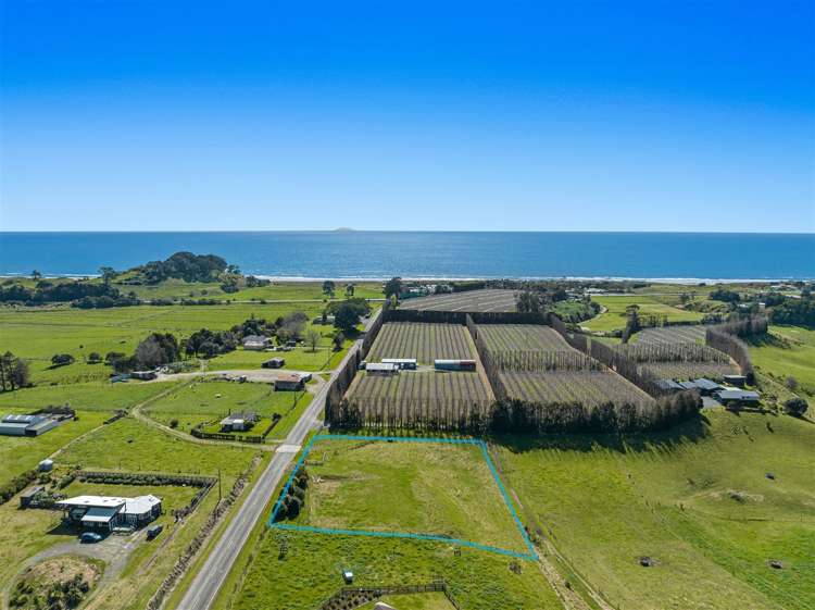 61 Tirohanga Road Opotiki_16