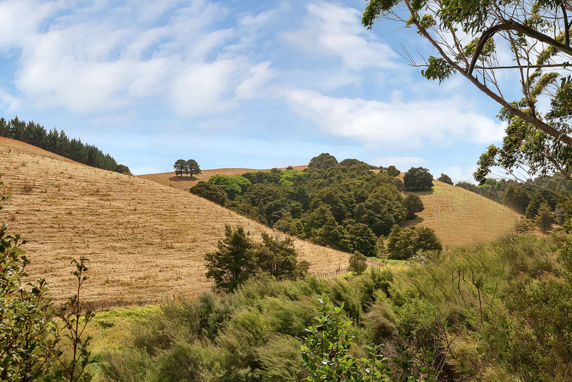 259a Taraunui Road Parua Bay_0