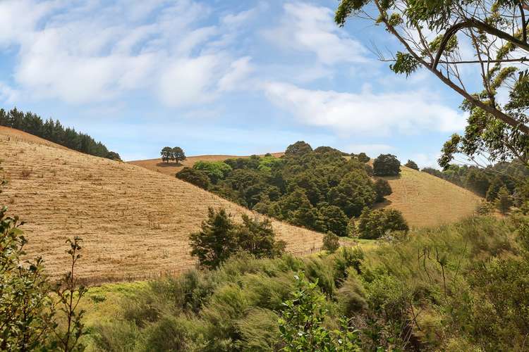 259a Taraunui Road Parua Bay_0