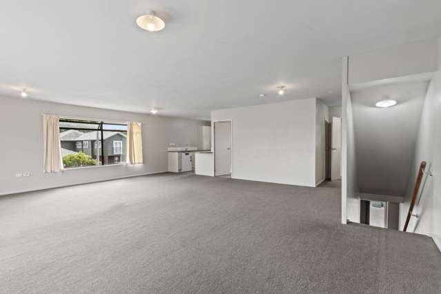 13a Greensboro Street Hamilton East_2