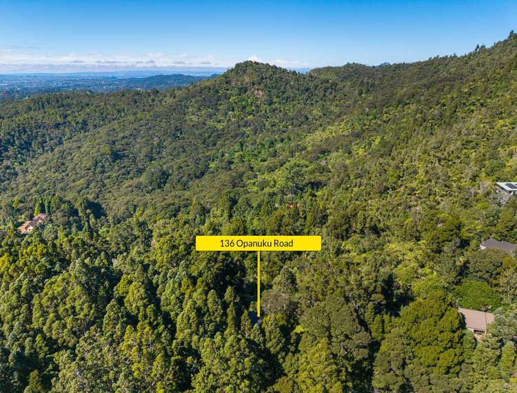 136 Opanuku Road Henderson Valley_31