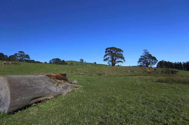 263a Ngatitangata Road Waihi_8