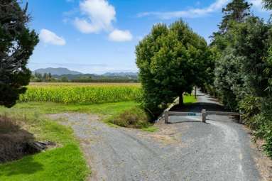 Lot LOT 5/DP160216 Omaha Flats Road_4