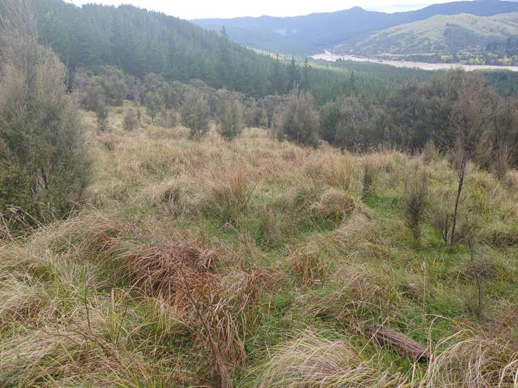 196 Griffiths Road Ruatoria_9