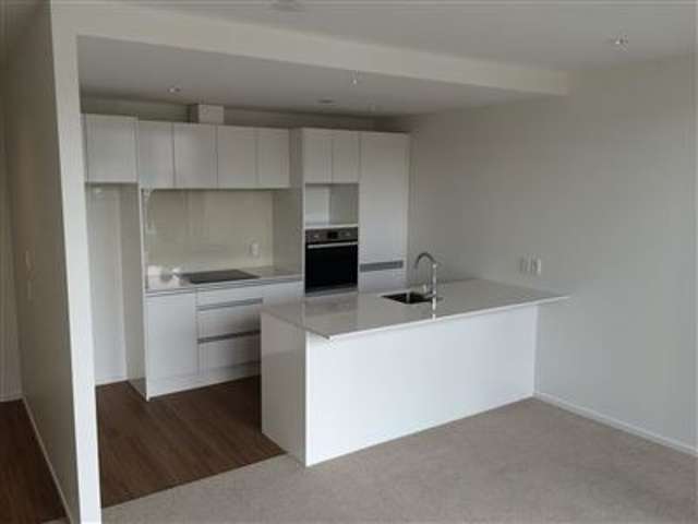 406/433 Dominion Road 1728_4