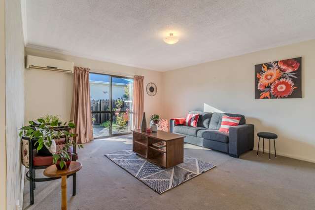 50e Oxford Street South Dunedin_2