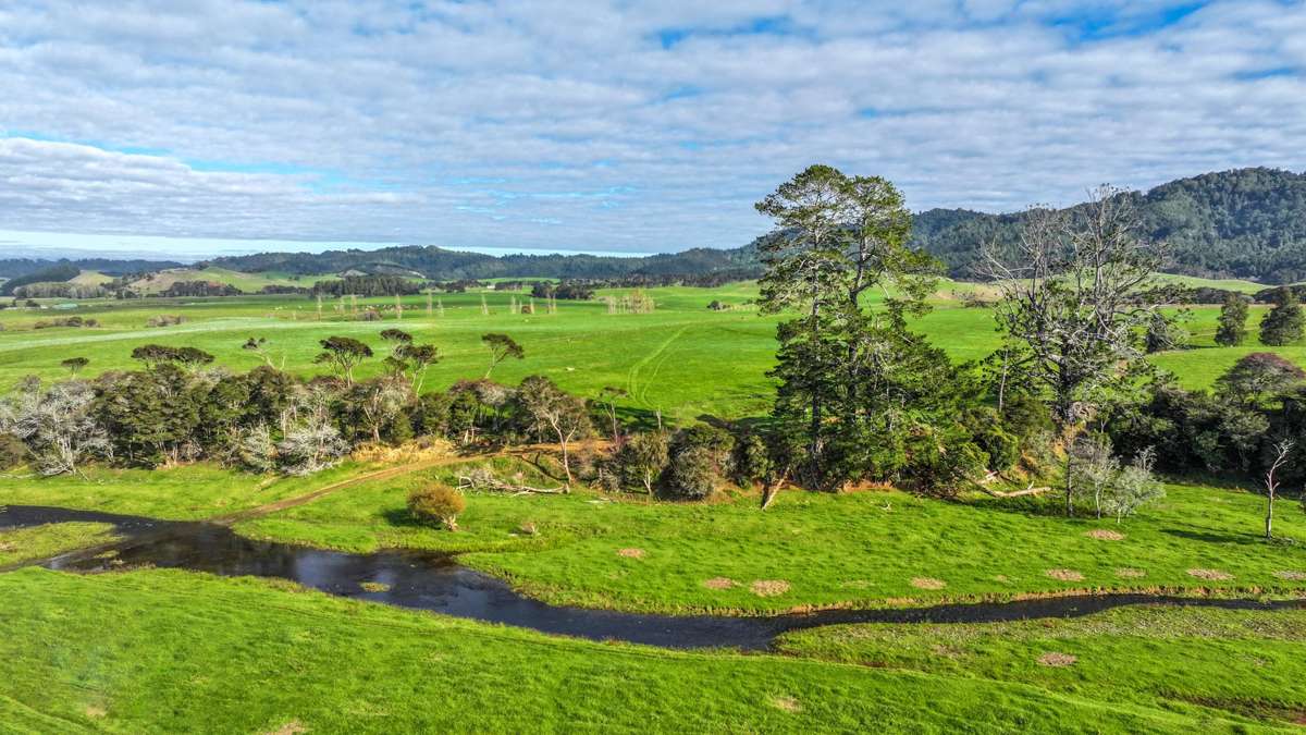 976 Kaiaua Road_2