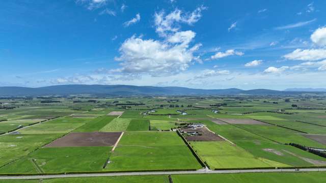 Turn-key Dairying