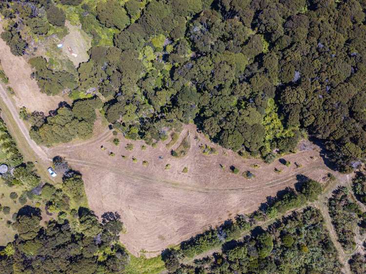 100 Musson Drive Waiheke Island_18