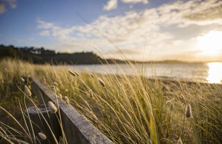 24 Hampton Mews Snells Beach_17