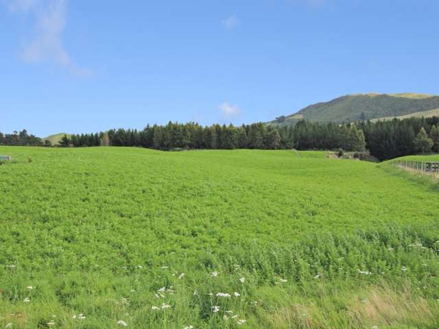 44 Katelyn Place Kinloch_2