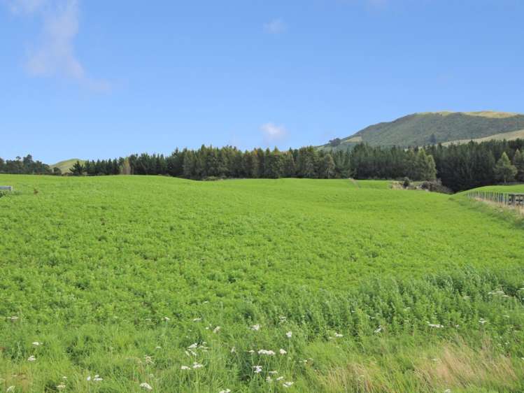 44 Katelyn Place Kinloch_2