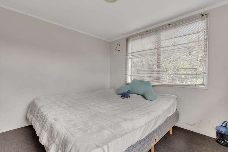 39 Collie Drive Pukehangi_13