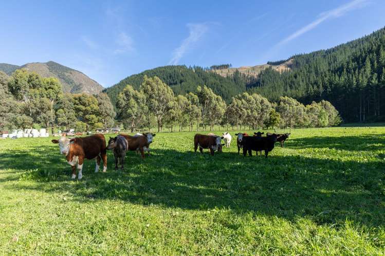 208 Mount Riley Road Okaramio_2