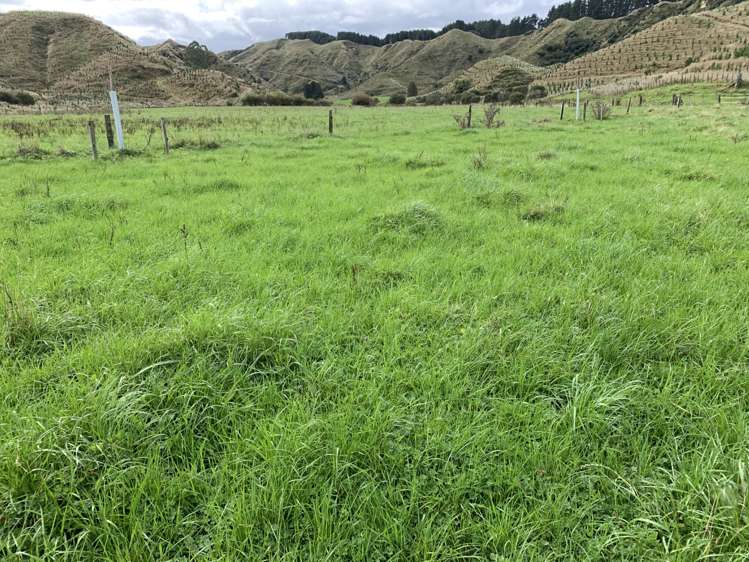 138 Quarry Road Stratford_20