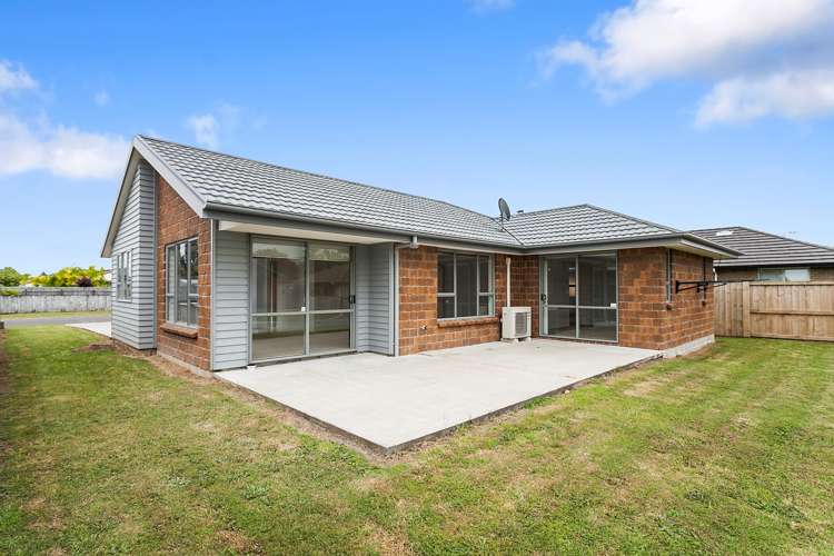 30 Nikau Place Matamata_1