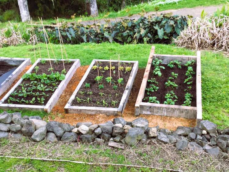 36A Takahue Saddle Road Broadwood_10