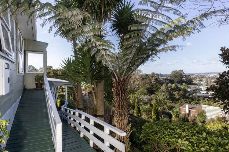 22 Goodall Street Hillsborough_17