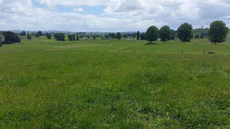 851 Hutchinson Road Morrinsville_19