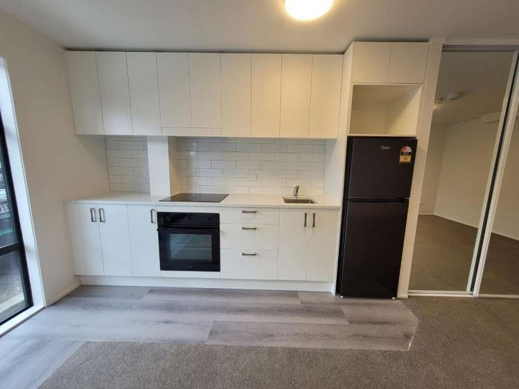 2/12 Nikau Street 10021_1