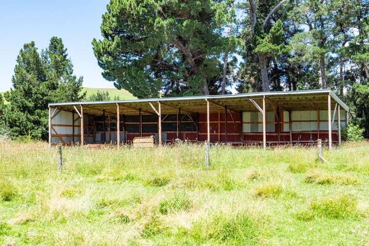 330 Wilfred Road Albury_15