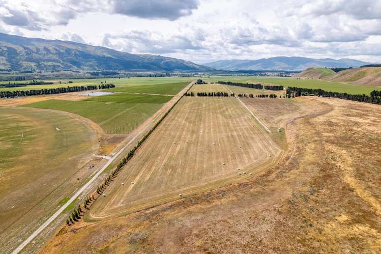 Bendigo Loop Road Cromwell_5