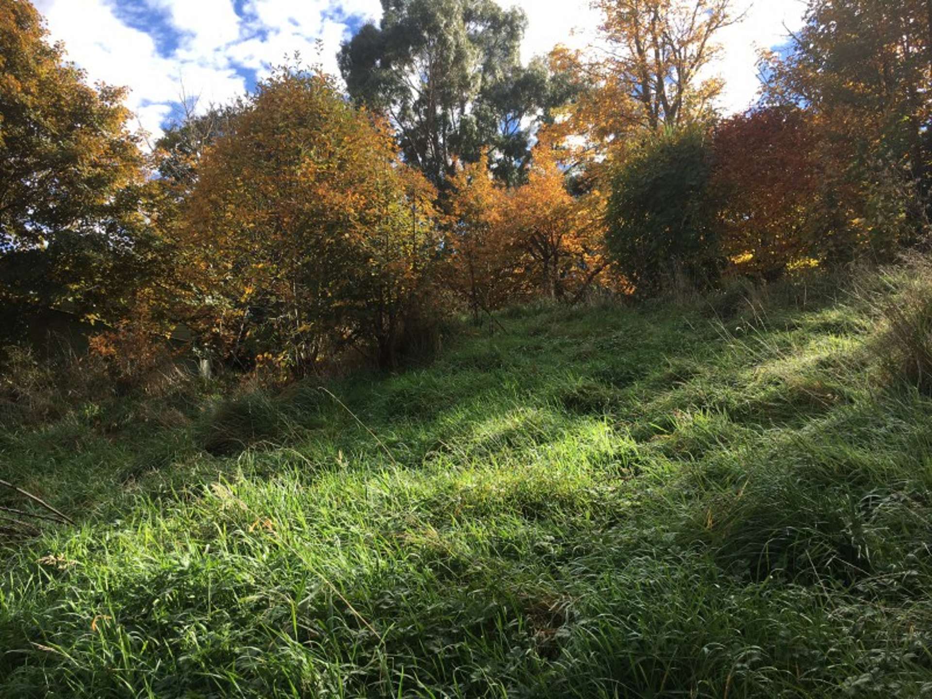 20 Park Avenue Ohakune_0