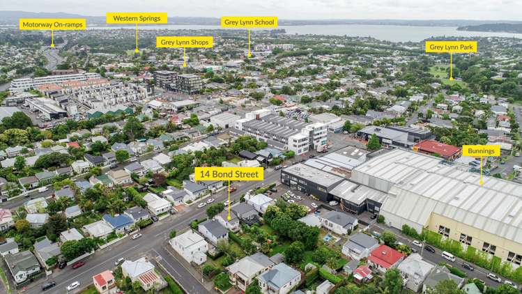 14 Bond Street Grey Lynn_19