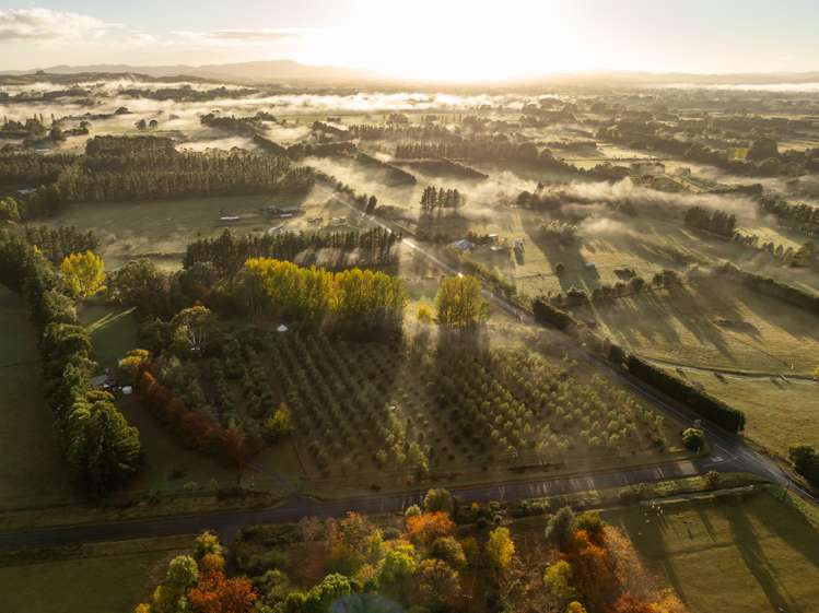 16 Parkers Road Carterton_34