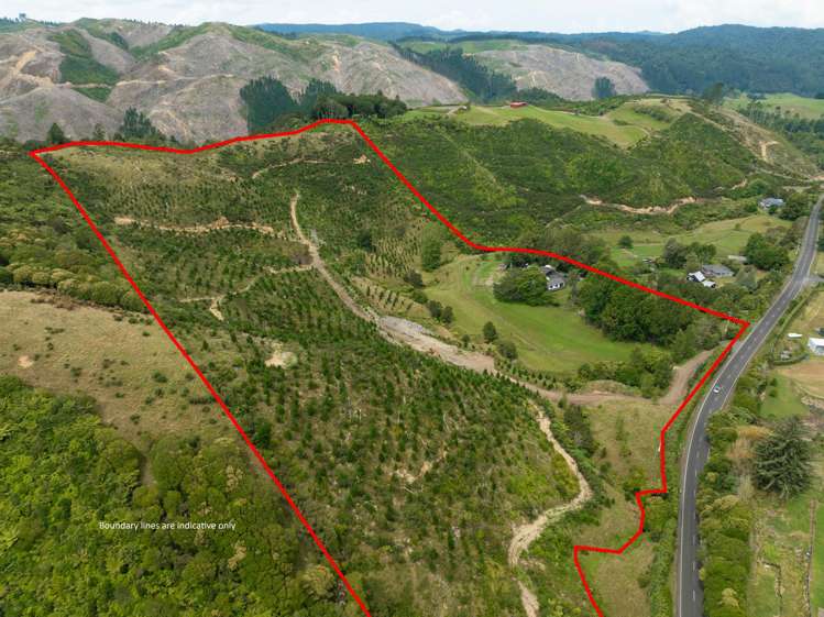 194 Skyhigh Road Hunua_22