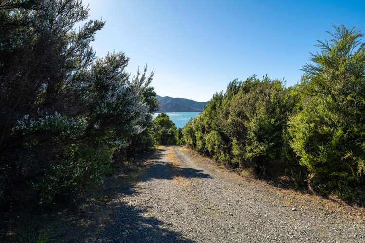1786 Port Underwood Road Marlborough Sounds_67