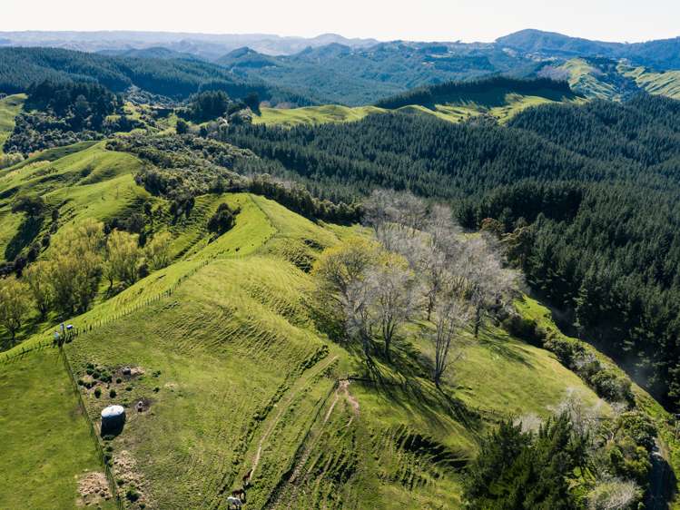 1875 Kanakanaia Road Whatatutu_22