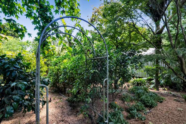 19 Rawhiti Street Vogeltown_26