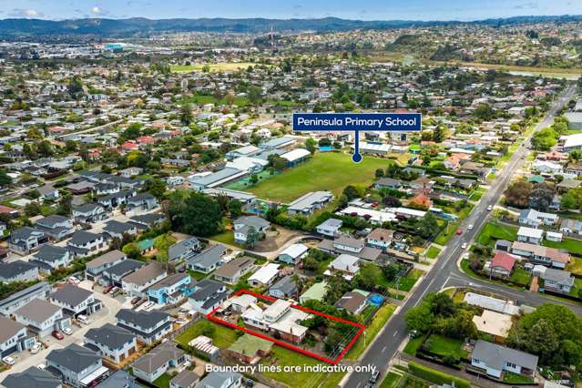 99 Wharf Road Te Atatu Peninsula_1