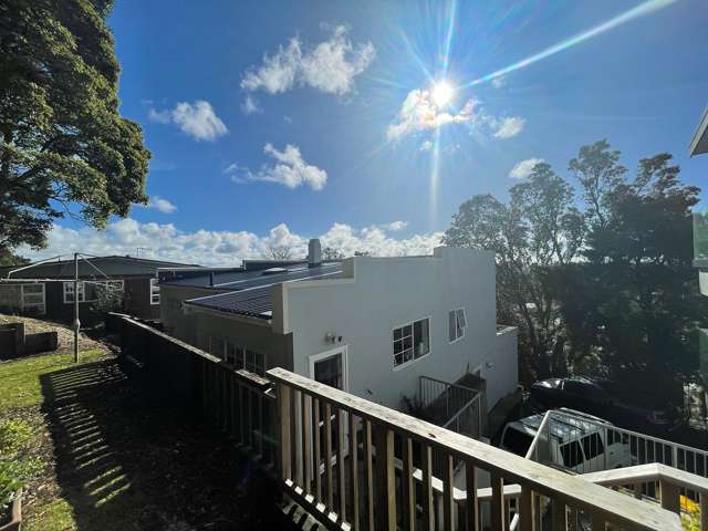 15 Sadgrove Terrace Mount Albert_1