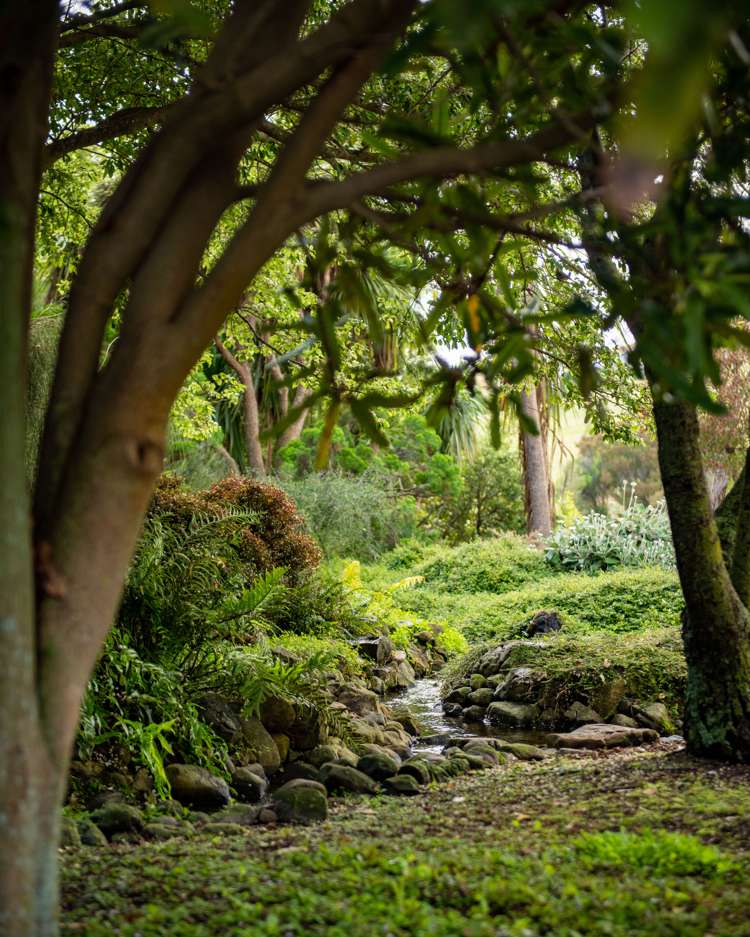 239 Redwood Street Witherlea_7