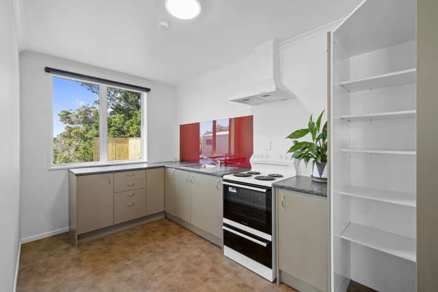 135 Junction Road Mangorei_1