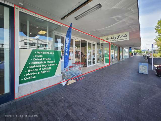38 Horomātangi Street Taupo_1
