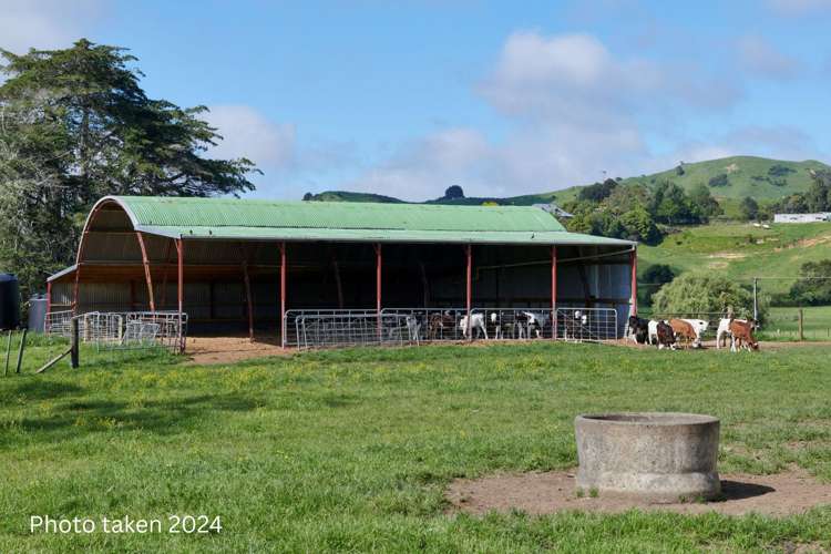 165B Te Puroa Road Ngaruawahia_11