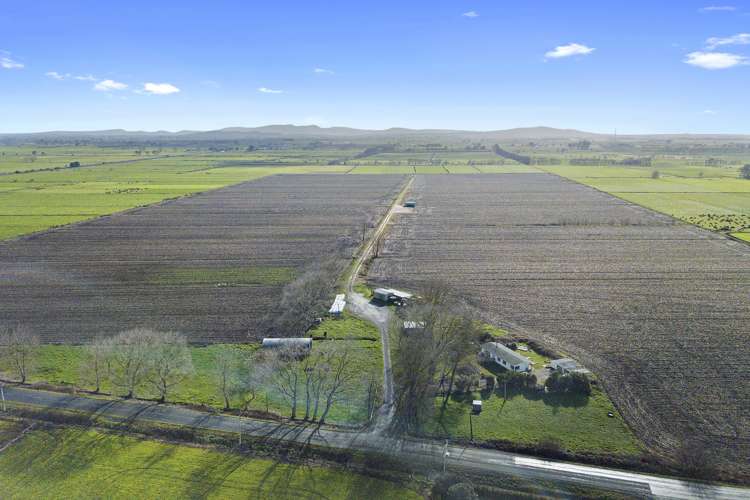 477 Seddon Road Gordonton_1