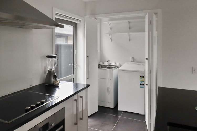 57a Kauri Street Miramar_2